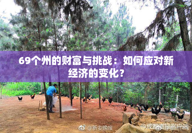 69个州的财富与挑战：如何应对新经济的变化？