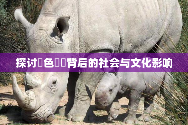探讨黃色亂倫背后的社会与文化影响