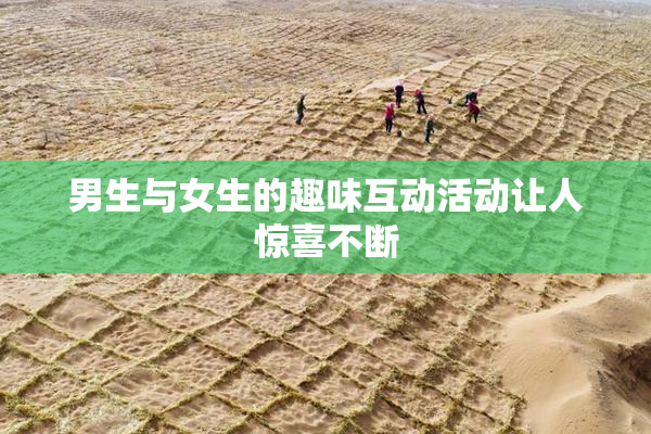 男生与女生的趣味互动活动让人惊喜不断