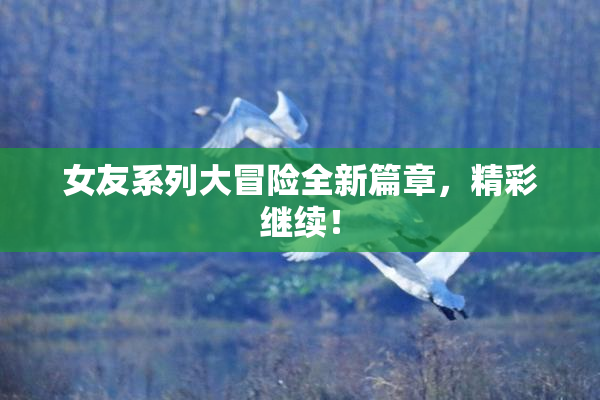 女友系列大冒险全新篇章，精彩继续！