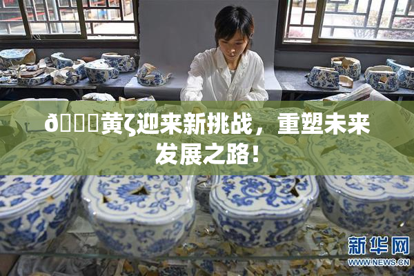 🔞黄ζ迎来新挑战，重塑未来发展之路！