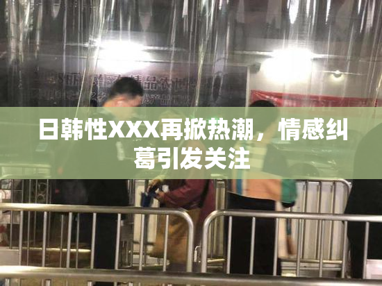 日韩性XXX再掀热潮，情感纠葛引发关注