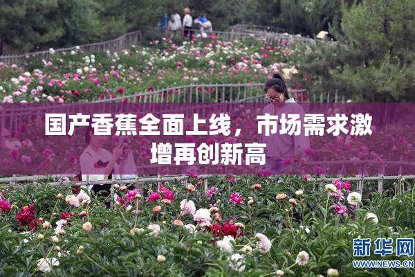 国产香蕉全面上线，市场需求激增再创新高