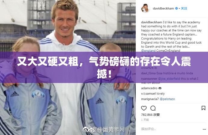 又大又硬又粗，气势磅礴的存在令人震撼！