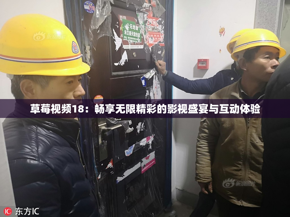 草莓视频18：畅享无限精彩的影视盛宴与互动体验