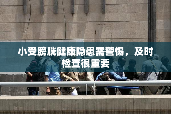 小受膀胱健康隐患需警惕，及时检查很重要