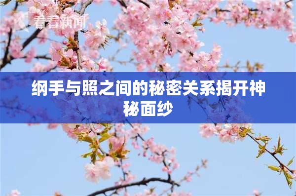 纲手与照之间的秘密关系揭开神秘面纱