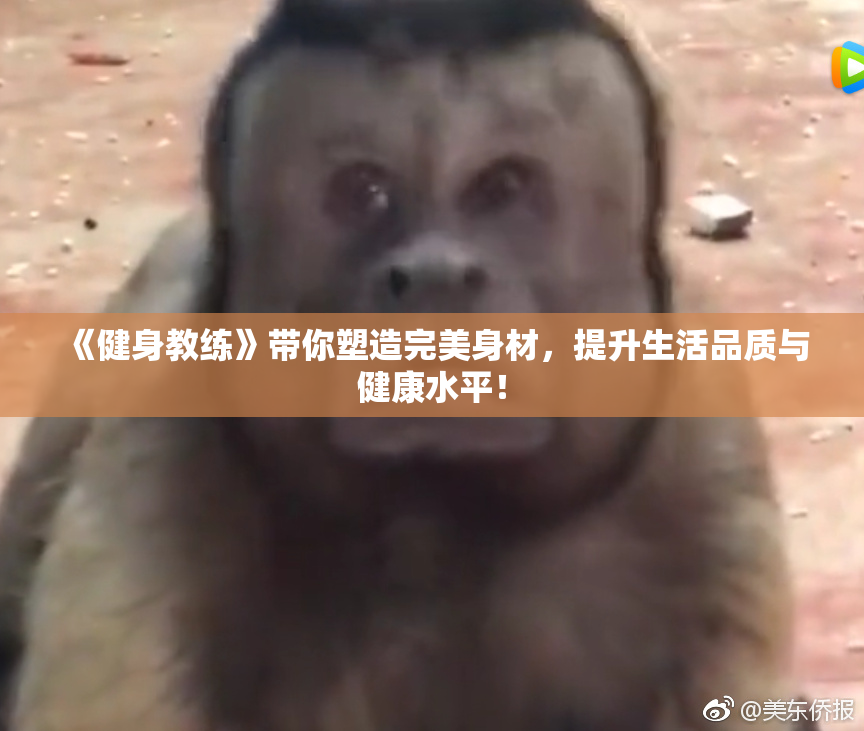 《健身教练》带你塑造完美身材，提升生活品质与健康水平！