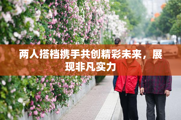 两人搭档携手共创精彩未来，展现非凡实力