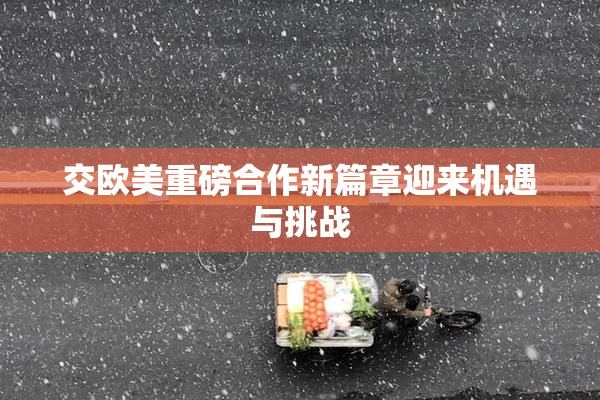 交欧美重磅合作新篇章迎来机遇与挑战