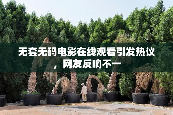 无套无码电影在线观看引发热议，网友反响不一