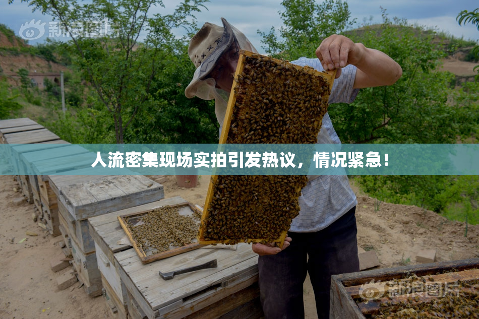 人流密集现场实拍引发热议，情况紧急！