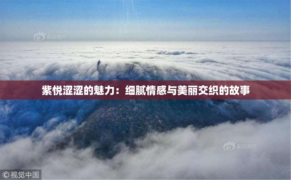 紫悦涩涩的魅力：细腻情感与美丽交织的故事