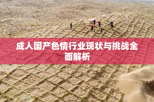 成人国产色情行业现状与挑战全面解析