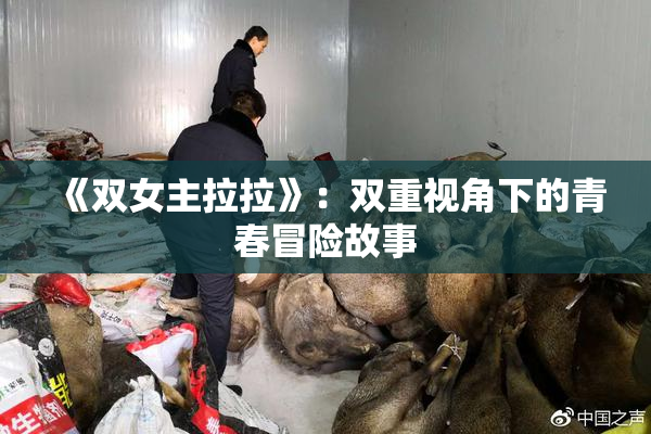 《双女主拉拉》：双重视角下的青春冒险故事