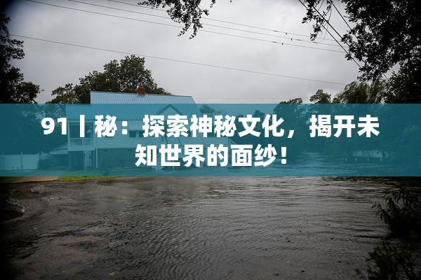 91丨秘：探索神秘文化，揭开未知世界的面纱！
