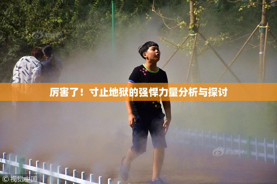 厉害了！寸止地狱的强悍力量分析与探讨