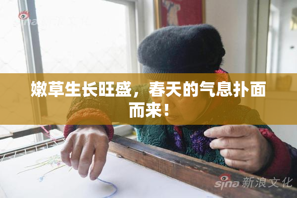 嫩草生长旺盛，春天的气息扑面而来！