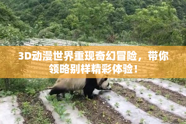 3D动漫世界重现奇幻冒险，带你领略别样精彩体验！