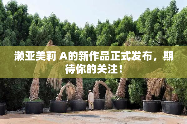 濑亚美莉 A的新作品正式发布，期待你的关注！