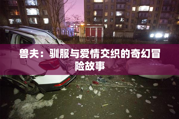 兽夫：驯服与爱情交织的奇幻冒险故事