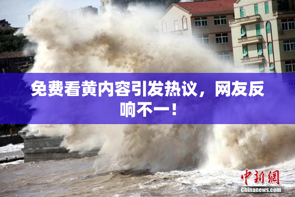 免费看黄内容引发热议，网友反响不一！
