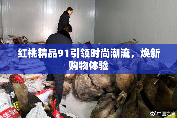 红桃精品91引领时尚潮流，焕新购物体验