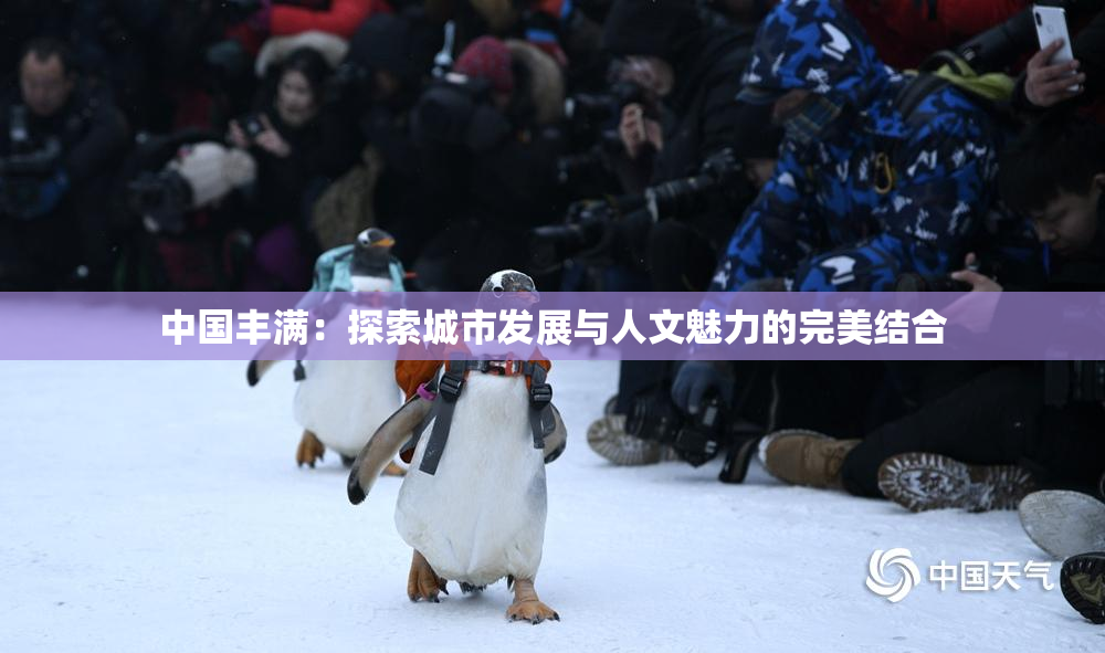 中国丰满：探索城市发展与人文魅力的完美结合
