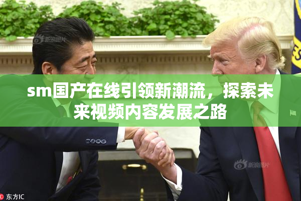 sm国产在线引领新潮流，探索未来视频内容发展之路