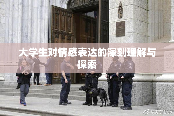 大学生对情感表达的深刻理解与探索