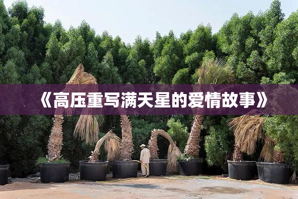 《高压重写满天星的爱情故事》