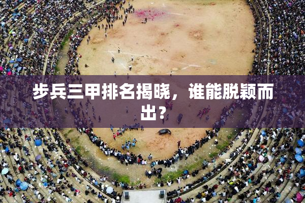 步兵三甲排名揭晓，谁能脱颖而出？