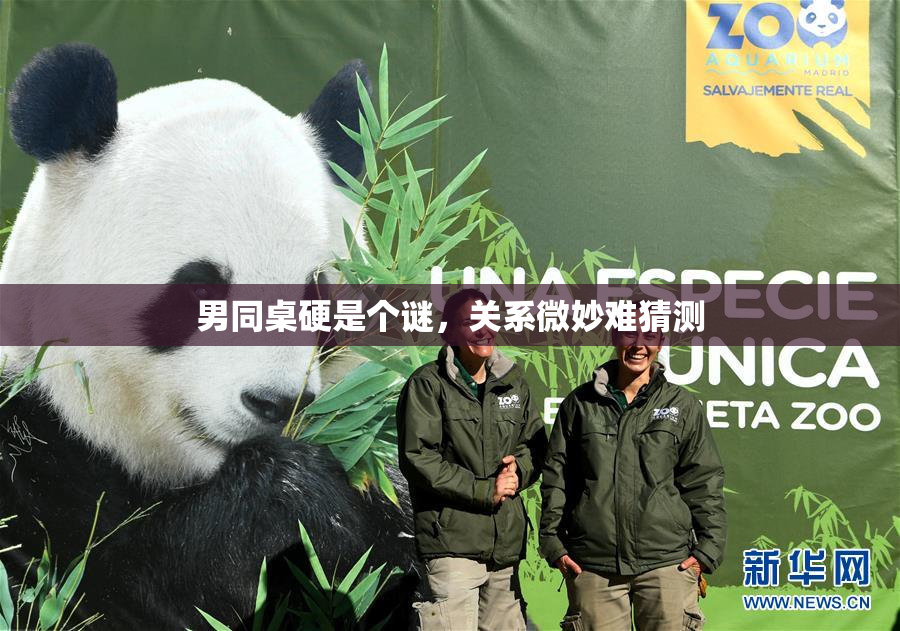 男同桌硬是个谜，关系微妙难猜测