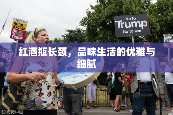 红酒瓶长颈，品味生活的优雅与细腻