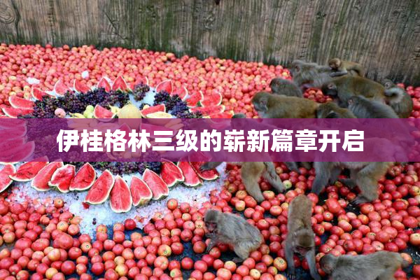 伊桂格林三级的崭新篇章开启
