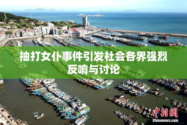 抽打女仆事件引发社会各界强烈反响与讨论