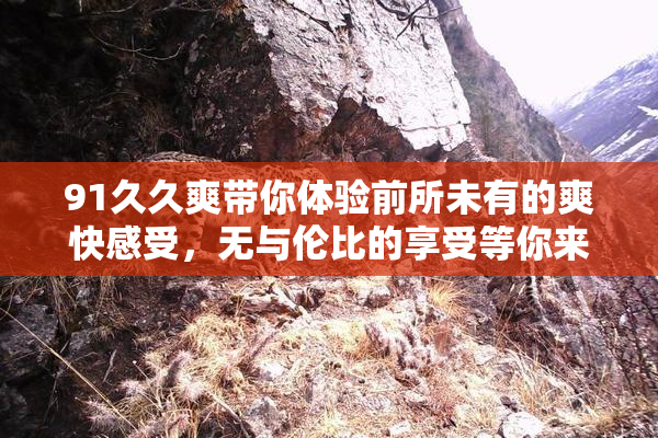 91久久爽带你体验前所未有的爽快感受，无与伦比的享受等你来试！