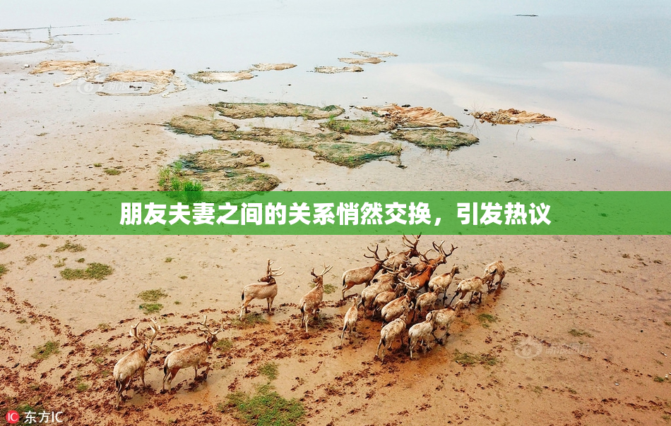 朋友夫妻之间的关系悄然交换，引发热议