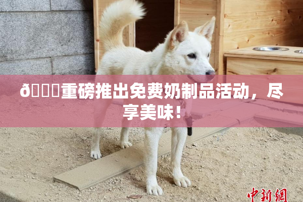 🔞重磅推出免费奶制品活动，尽享美味！
