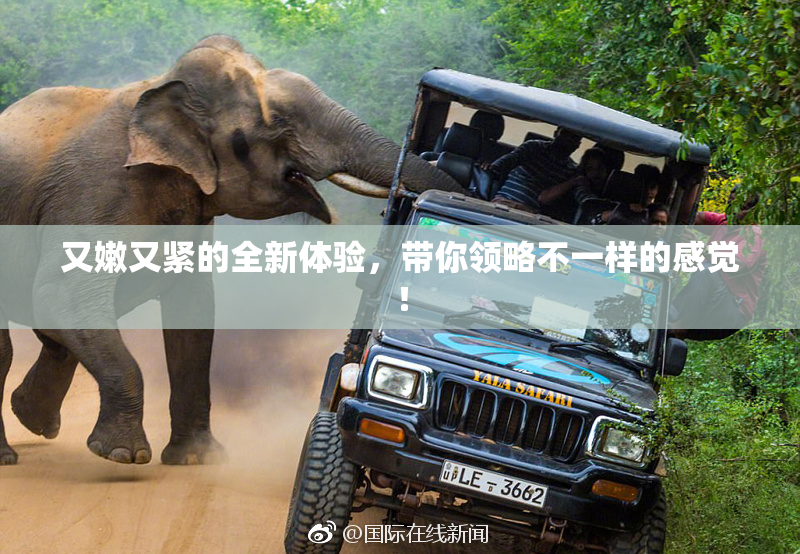又嫩又紧的全新体验，带你领略不一样的感觉！