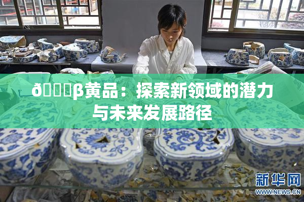 🔞β黄品：探索新领域的潜力与未来发展路径