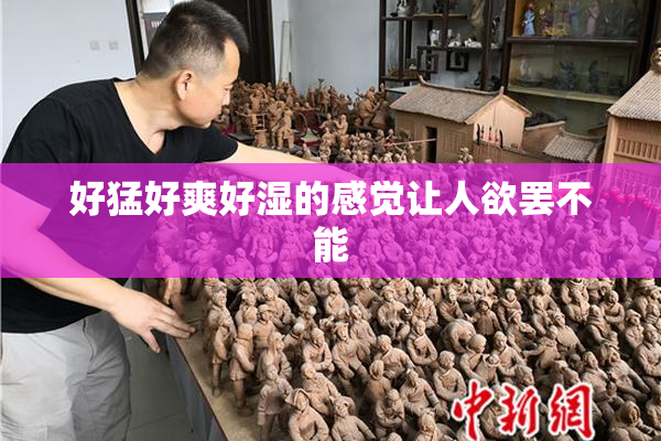 好猛好爽好湿的感觉让人欲罢不能