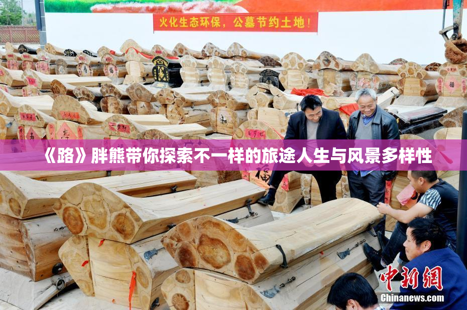 《路》胖熊带你探索不一样的旅途人生与风景多样性