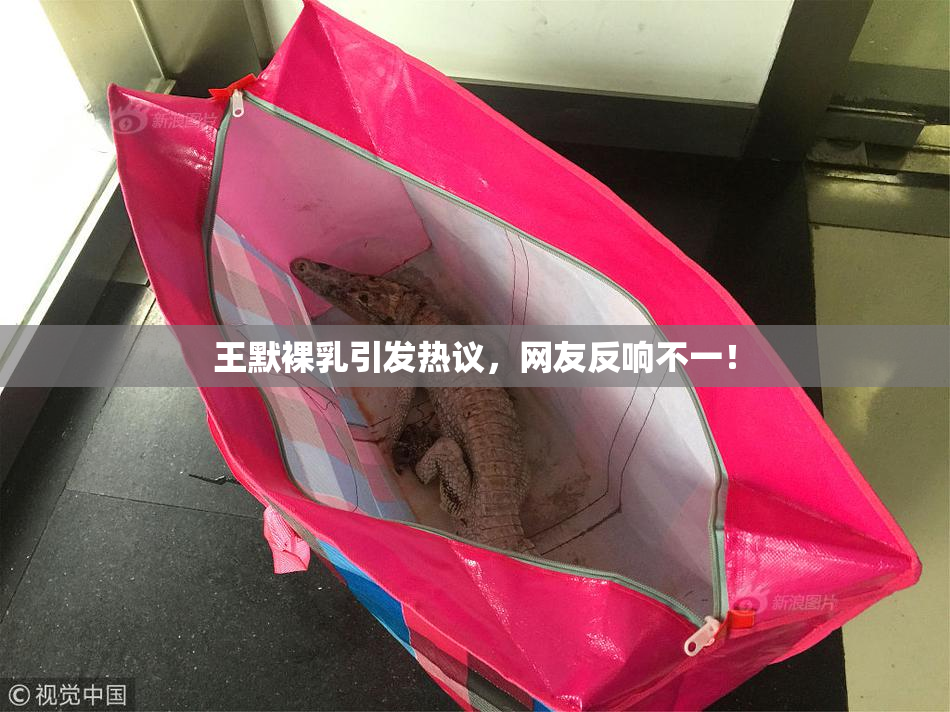 王默裸乳引发热议，网友反响不一！
