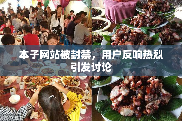 本子网站被封禁，用户反响热烈引发讨论