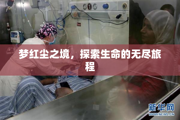 梦红尘之境，探索生命的无尽旅程