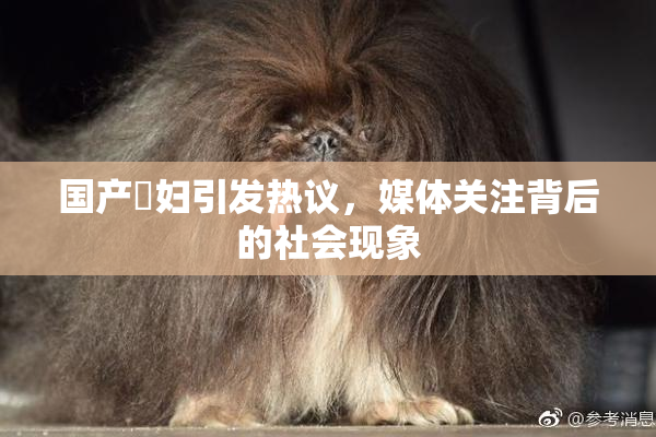 国产婬妇引发热议，媒体关注背后的社会现象