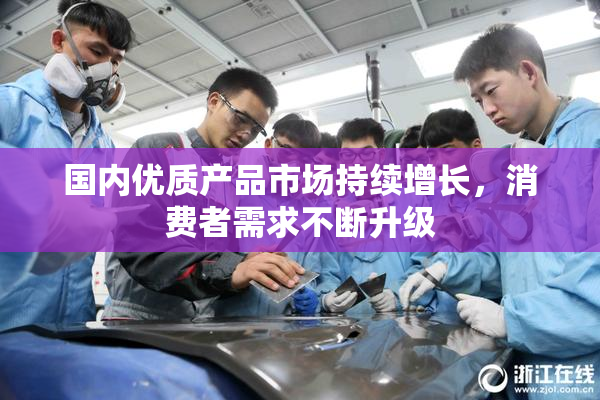 国内优质产品市场持续增长，消费者需求不断升级