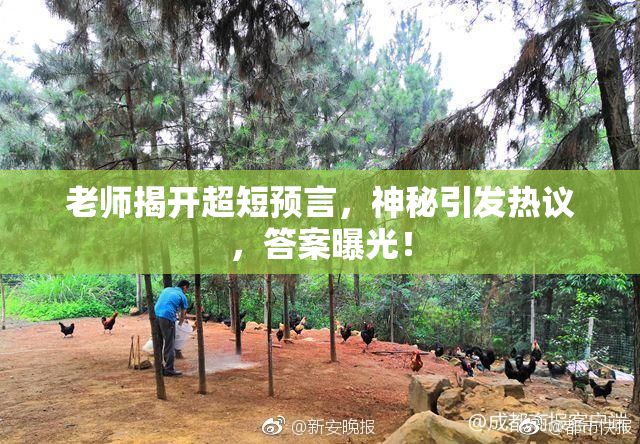 老师揭开超短预言，神秘引发热议，答案曝光！
