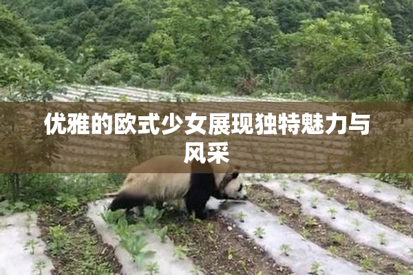 优雅的欧式少女展现独特魅力与风采